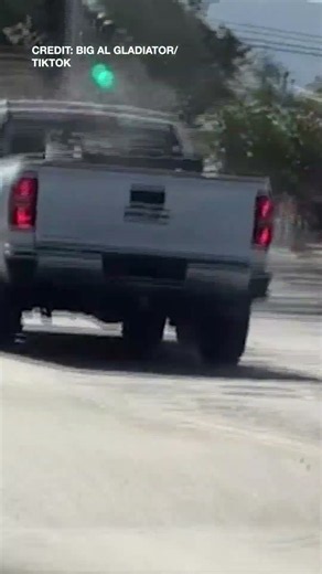 Woman hits truck with bat, truck rams her in road rage incident