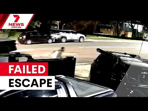 Driver's bizarre escape attempt ends in arrest | 7NEWS