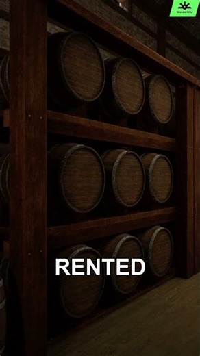 The Bridge With Secret Wine Cellars 🍷🌉 | Brooklyn Bridge