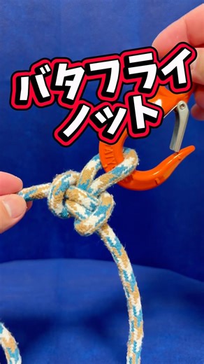 キャンプの定番結び【バタフライノット】船長のロープワーク✨#knot #キャンプ