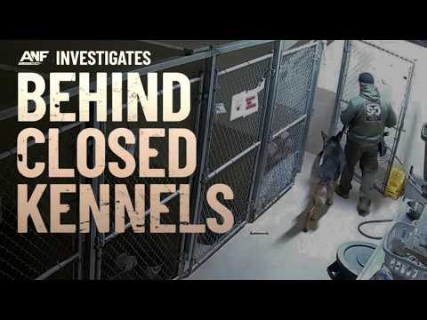 Clayton County K-9 euthanized after handler’s arrest; advocates say shelter drug records incomplete