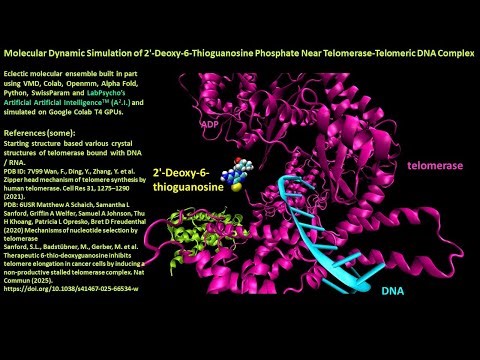 Molecular Dynamic Simulation of 2'-Deoxy-6-Thioguanosine Phosphate Telomerase-Telomeric DNA Complex