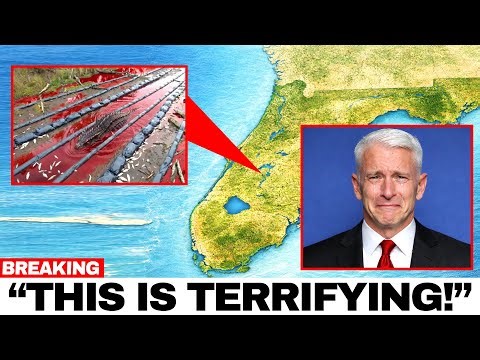 Florida Drained a Wetland — What Biologists Found Underneath Shocked Everyone