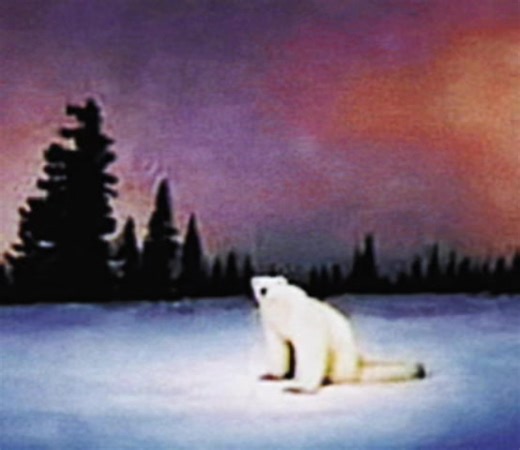 Protecting Polar Bears: Awareness for Climate Change