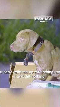 Shopping Cart #police #cops #puppy