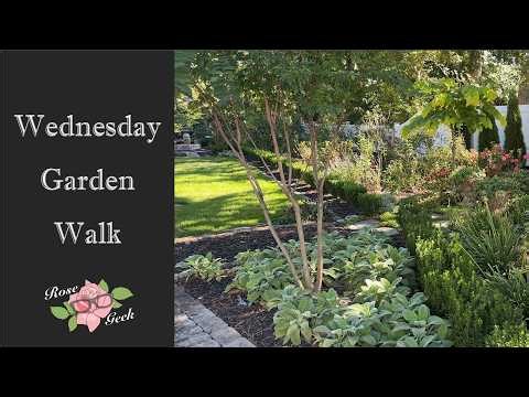 🌹Wednesday Weekly Walk in my Garden/Zone 8a, MD/Tour October 7