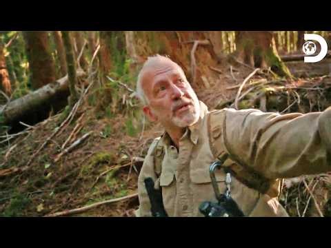 Wildfires Threaten the Ultimate Bigfoot Hunt! | Expedition Bigfoot S2 E12 | Discovery Channel India