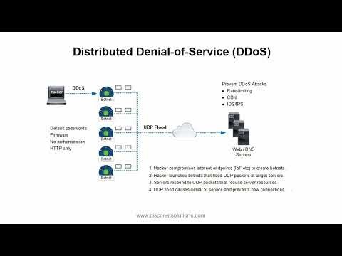 DDos Hacker Attack: How to Protect Your Network