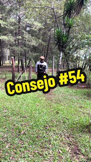Consejo del día: 'El que vive confiado, vive traicionado'