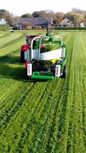 Case IH CVX 130 😎 #tractor #farming #grass