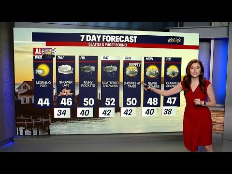 Foggy weather in Seattle for New Year's Eve | FOX 13 Seattle