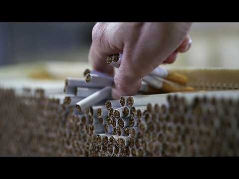Organised crime thriving in the face of the tobacco excise