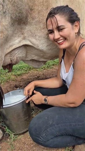 Fresh Cow Milking on Farm 🐄 | Pure Village Life & Organic Milk Experience #villagelife #agro