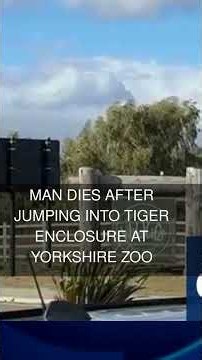 Man dies after jumping into tiger enclosure at Yorkshire zoo