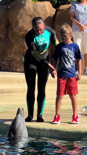 Dolphin Adventures at SeaWorld Orlando with Alejandro