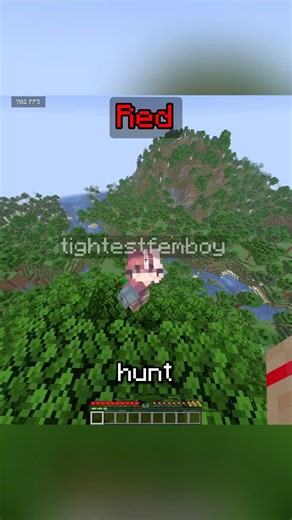 Minecraft Random Color Manhunt Challenge