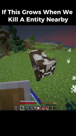 Sculk Only Spreads From Death… So Explain the Ancient City