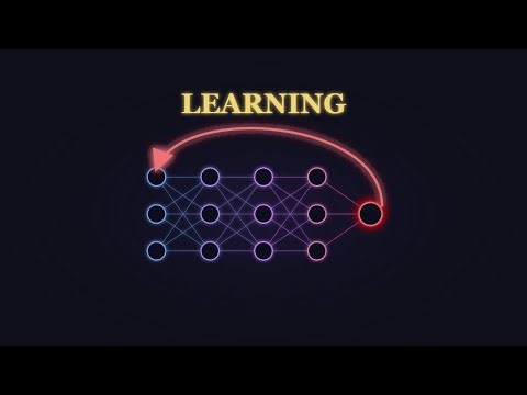 Backpropagation: How a Network Learns From Its Mistakes