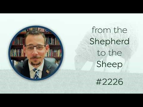 From the Shepherd to the Sheep - #2226 - CBC