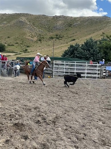 Omarama Rodeo Open Breakaway Roping Champion