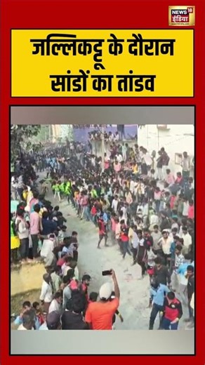 जल्लिकट्टू के दौरान सांडों का तांडव #jallikattu #viralnews #shorts #viralvideo