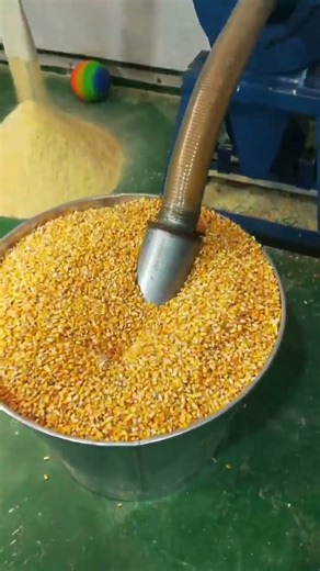 #fcnfm The Role of Grain Crushers in Modern Animal Nutrition