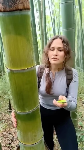 Survival Skills: How to Get Water from a BAMBOO Tree 💧💧#ohd #survival #camping #bushcraft #skills