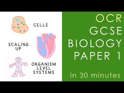 All of OCR BIOLOGY Paper 1 in 30 minutes - GCSE Science Revision (Gateway)
