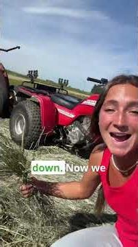 Total Lawn Transformation!