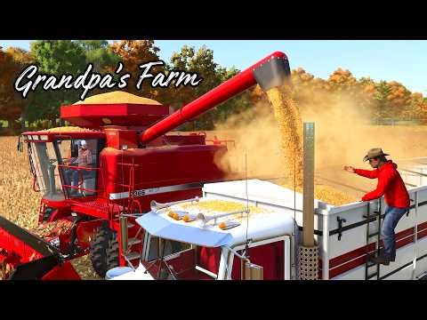 Brothers Reunite to FINISH GRANDPA'S HARVEST | Record Yields for our Soybeans