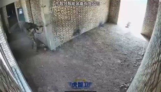 China Tests Armed Robot Dogs, Pushing AI Warfare Forward Military-grade quadrupeds equipped with machine guns signal a new era of autonomous combat technology. #WashingtonEye