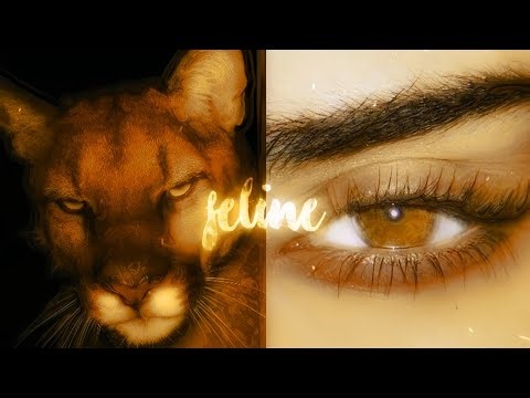 🐈 ❝𝗙𝗘𝗟𝗜𝗡𝗘❞『 ULTIMATE Feline Beauty Subliminal 』🐾 + 𝖎𝖓𝖙𝖊𝖗𝖌𝖆𝖑𝖆𝖈𝖙𝖎𝖈 BOOSTER!! Read Desc...