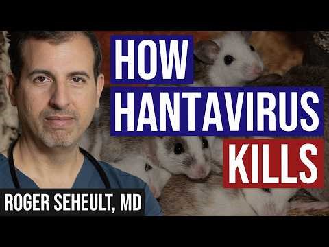 How Hantavirus Kills