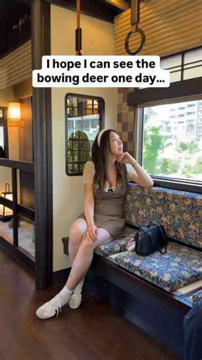 Scenic Train Ride Dreaming of Seeing the Bowing Deer