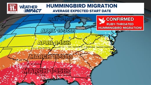 Hummingbird migration underway: When to expect their return to Ohio