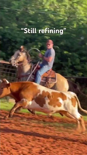 “Still refining” same steer same mistake #horse #rodeo #teamroping #cowboys #roping
