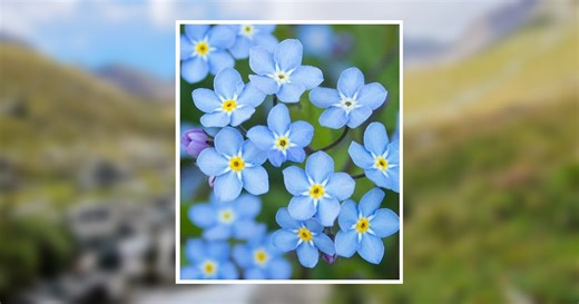 Beulah Georgantas Obituary April 4, 2026 - West Central Texas Cremation and Funeral Home