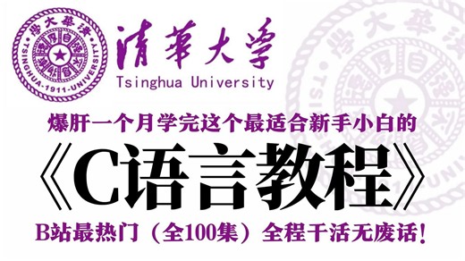 【整整100集】目前B站最全最细，2026年最适合C语言小白零基础自学入门教程，全程干货无废话！让你少走99%的弯路！从零小白到C++开发大佬看这套就够了！
