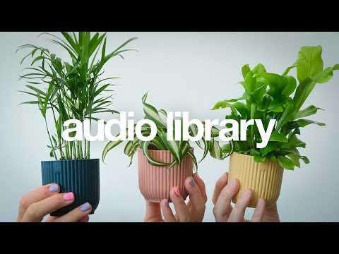 DAILY No Copyright For You – Beloved by Roa 🎵