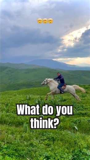 Ride Beyond the Clouds 🌄🐎 #horse #stallion #animals