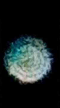 Fly Away | The Story of The Flying Acorn Tribe | Those who walk in all Worlds £7