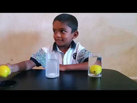 Floating Lemon Science Experiment 🍋 | Sink or Float? Amazing Kids Science Trick 😲