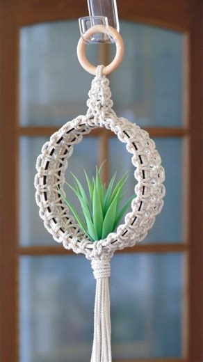 DIY Circle Plant Hanger EASY #macrame #planthanger