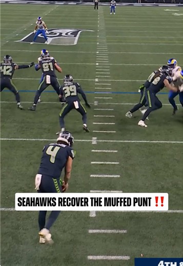 Seattle Seahawks Dominance in NFL Game