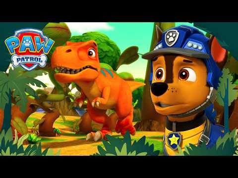 T-Rex Tyke in Danger! 🦖 Chase to the Rescue! | PAW Patrol | Compilation