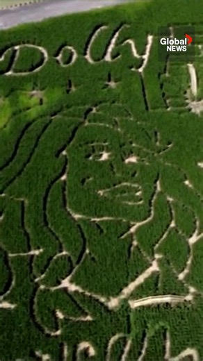 Dolly Parton, “an American treasure”: A local farm’s elaborate corn maze honours late star