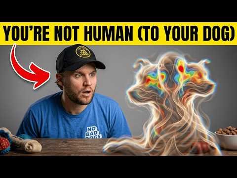 Your Dog Doesn't Think You're Human... What Science Finally Reveals