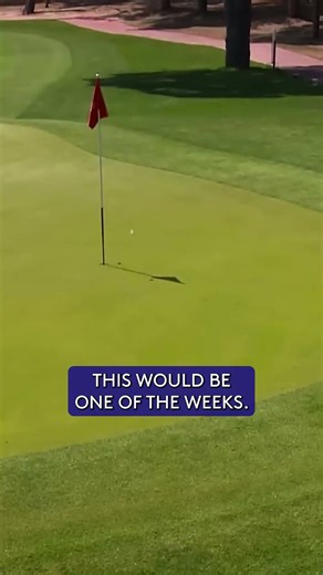 Playing off this hole-out is CRAZY! 🤪