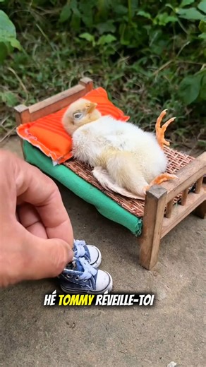 Nouvelle chaussure 👟 | Nouveaux gadgets viraux, appareils intelligents, maison😍!! #shorts