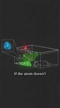 What happens to Schrödinger's cat?